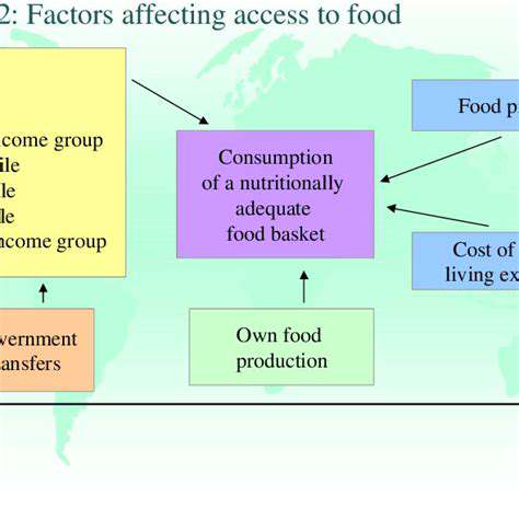 EconomicFactorsAffectingFoodAccess