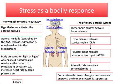 TheBiologicalResponsetoStress