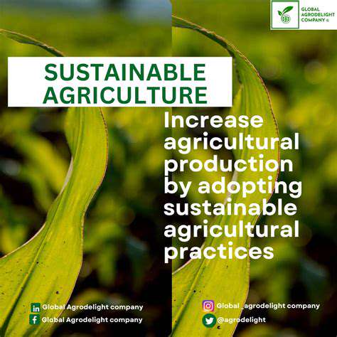 TheImportanceofSustainableAgriculture