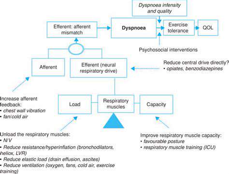 ThePhysiologicalMechanismofBreathlessness