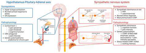 TheScienceBehindCortisolandStress