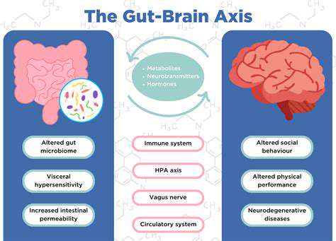 ThePhysiologicalMechanisms:HowAnxietyAffectstheGut