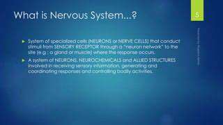 TheRoleofNeurochemicalsandtheNervousSystem