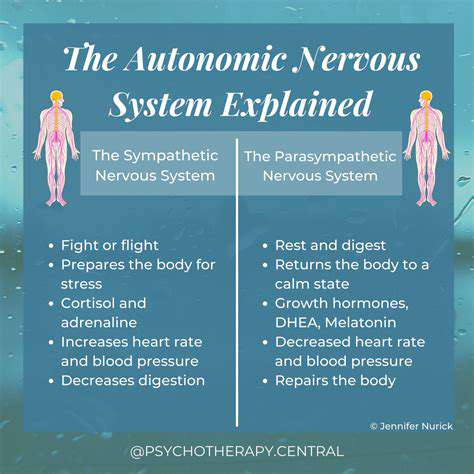 TheScienceBehindtheSweat:TheRoleoftheAutonomicNervousSystem
