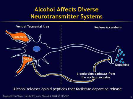 Alcohol's