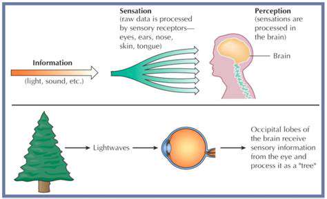 BeyondPhysiology:PsychologicalFactorsandthePerceptionofCold