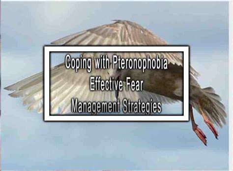 CopingStrategiesforManagingPhobias