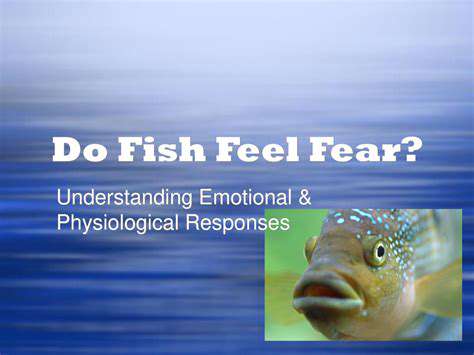 UnderstandingthePhysiologicalResponse